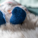 Babykollektion-finale Bilder-1061