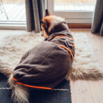 Schnittmuster-Emma-4