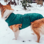 Hundemantel-Emmi-10
