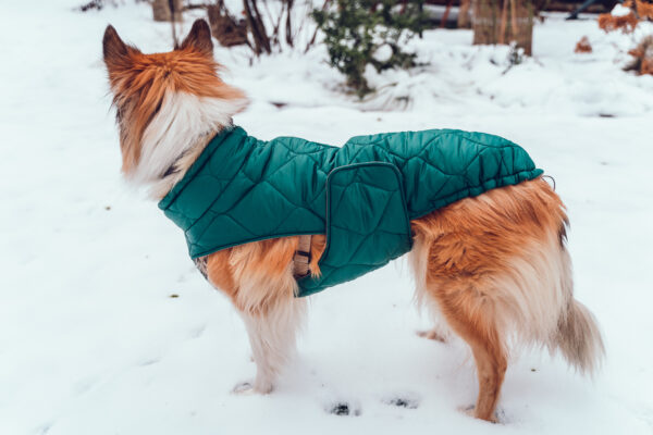 Hundemantel-Emmi-10 Hundemantel-Emmi-10