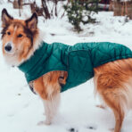 Hundemantel-Emmi-11