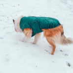 Hundemantel-Emmi-21