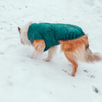 Hundemantel-Emmi-21