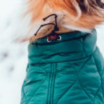 Hundemantel-Emmi-23