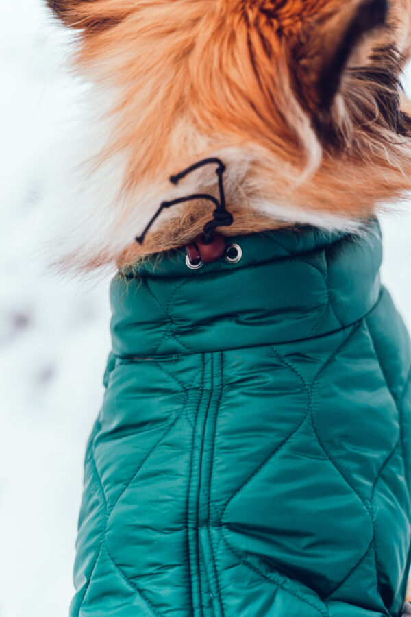 Hundemantel-Emmi-23 Hundemantel-Emmi-23