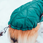 Hundemantel-Emmi-31