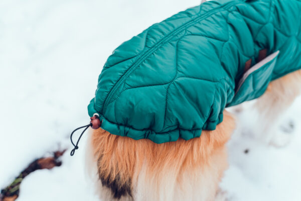 Hundemantel-Emmi-31 Hundemantel-Emmi-31