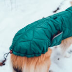Hundemantel-Emmi-32