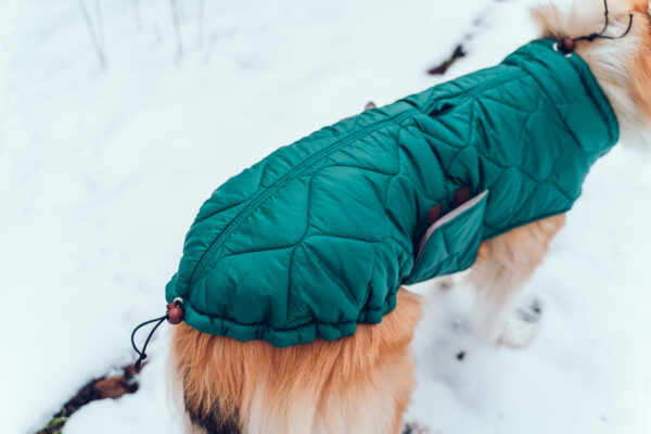 Hundemantel-Emmi-32 Hundemantel-Emmi-32