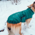 Hundemantel-Emmi-33