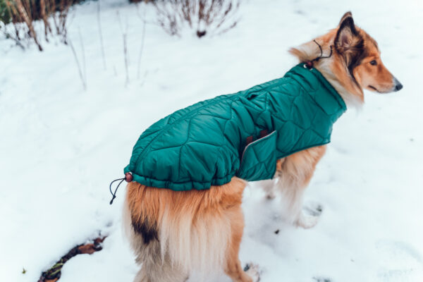 Hundemantel-Emmi-33 Hundemantel-Emmi-33