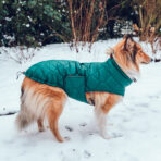 Hundemantel-Emmi-36