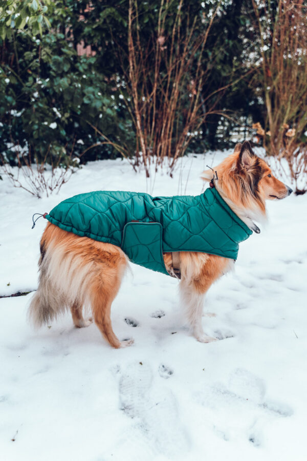 Hundemantel-Emmi-36 Hundemantel-Emmi-36