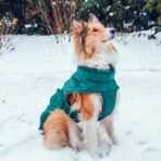 Hundemantel-Emmi-42