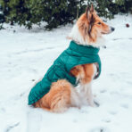 Hundemantel-Emmi-45