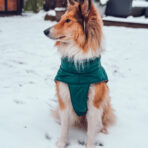 Hundemantel-Emmi-5