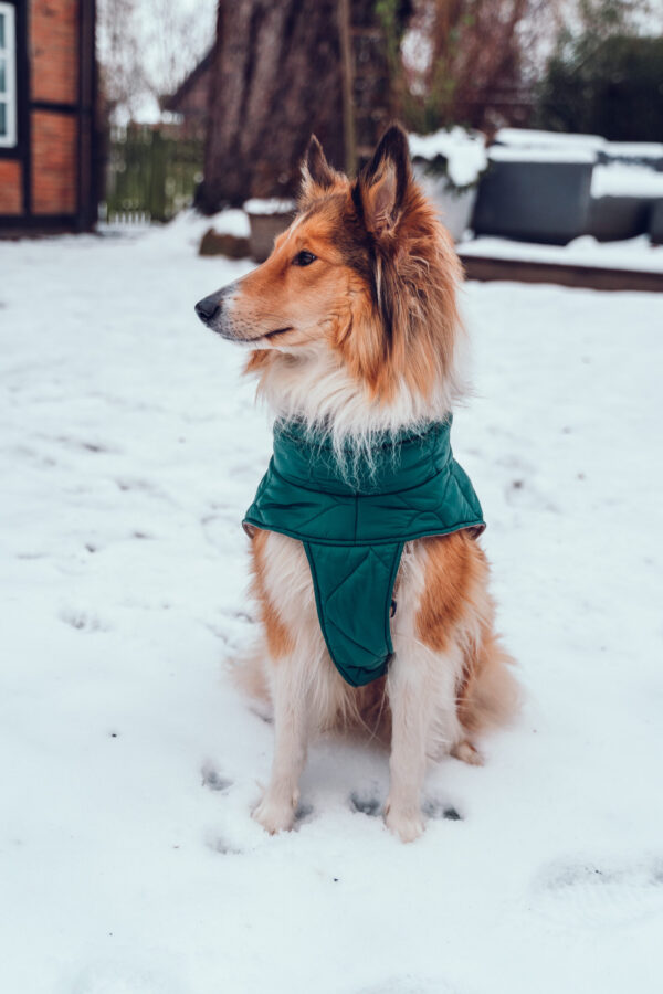 Hundemantel-Emmi-5 Hundemantel-Emmi-5