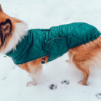 Hundemantel-Emmi-8