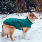 schnittmuster-hundemantel-emmi_titel